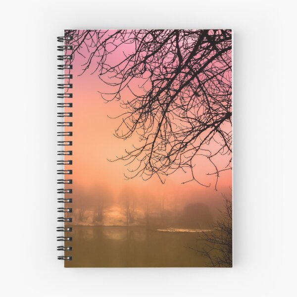 Item preview, Shadow of brance and colored sunset designed and sold by Stéphane  Thirion.