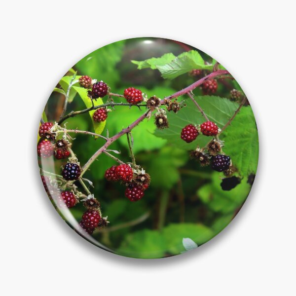 Item preview, Rubus  designed and sold by BritishYank.
