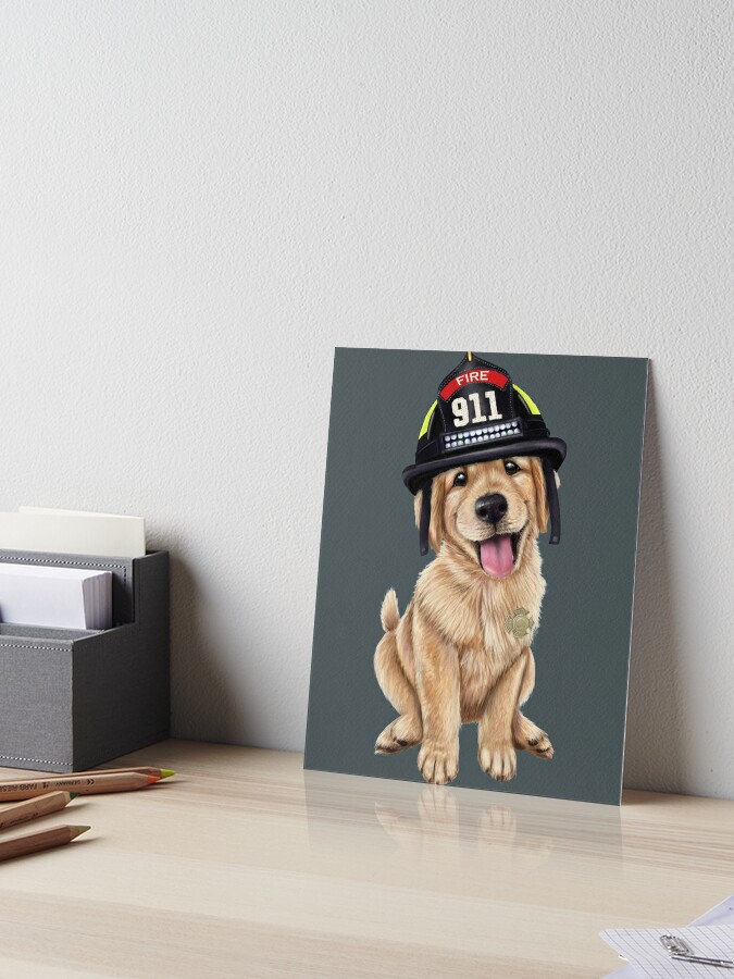 dog firefighter hat