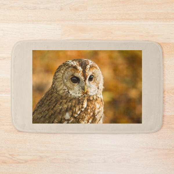 Item preview, Tawny Owl in Autumn Woodland designed and sold by Jane Stanley Photography.