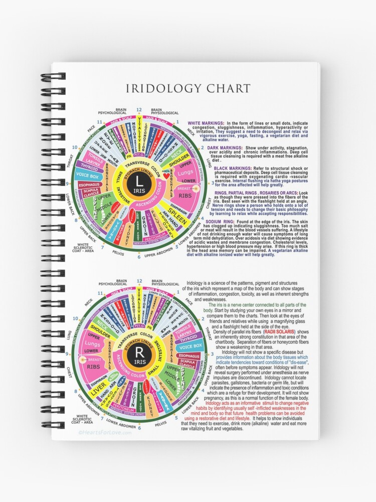 Iridology Chart, Iridology Map Of The Eye Up To 20 X 30 , 42% OFF