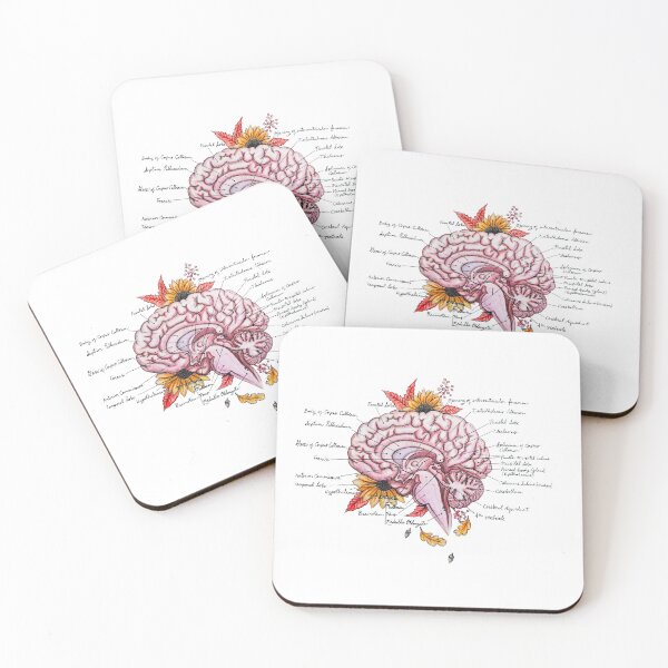 Item preview, Mind the Fall | Labelled Brain Anatomy designed and sold by Karli Mogen.