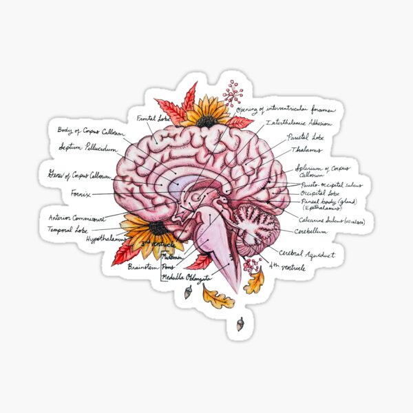 Mind the Fall Sticker