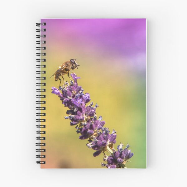 Item preview, Bee on lavender and gradient in background designed and sold by Stéphane  Thirion.