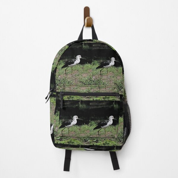Item preview, r2448/ 2 parc-ornithologique-de-st-hilaire-la-palud- échasse blanche- 2020 par Okaio Créations - Olavia-Olao designed and sold by o.okaïo.