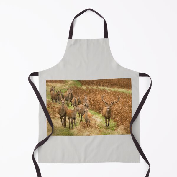 Artikelvorschau, Red Deer Stag und seine Herde entworfen und verkauft von Jane Stanley Photography.
