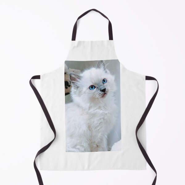 Item preview, Ragdoll kitten designed and sold by Fluffycat2020.