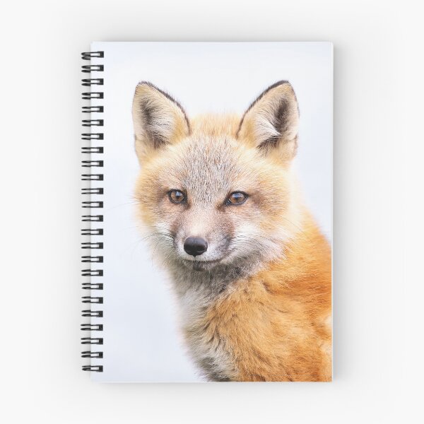 Item preview, Red Fox Kit designed and sold by mlorenz.