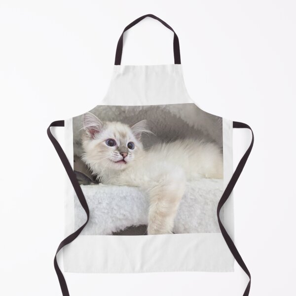 Item preview, Ragdoll kitten designed and sold by Fluffycat2020.