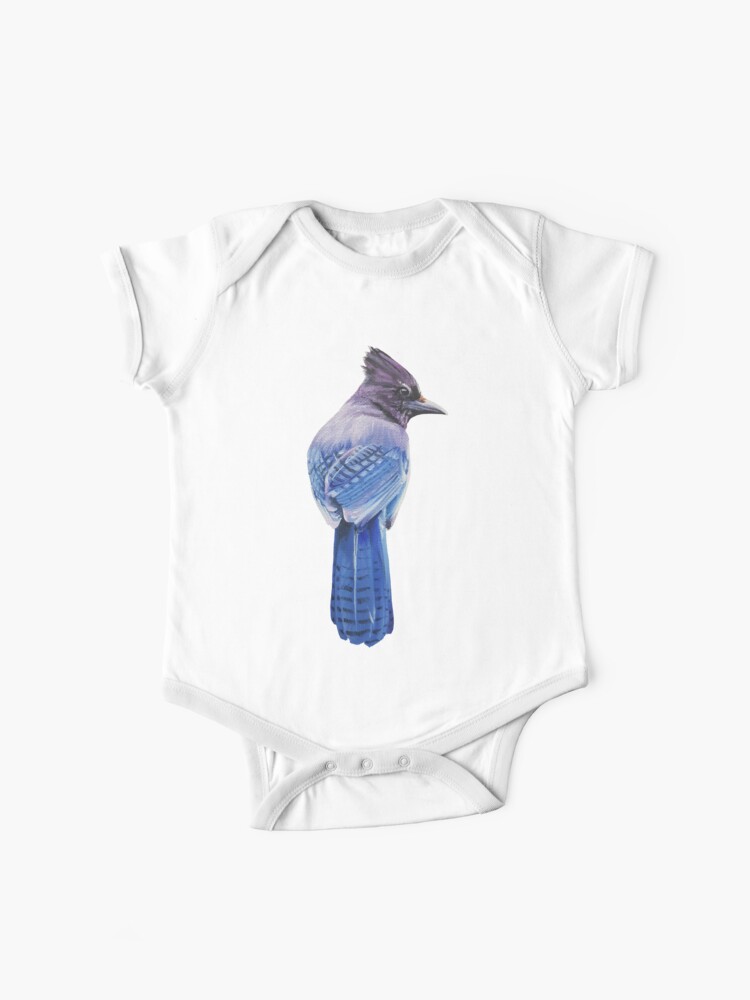 Baby Blue Jays  Bird Nerd Diaries 