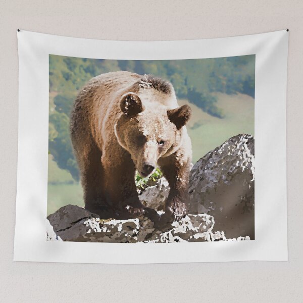 Item preview, Rock Bear designed and sold by Ryan Seaba.