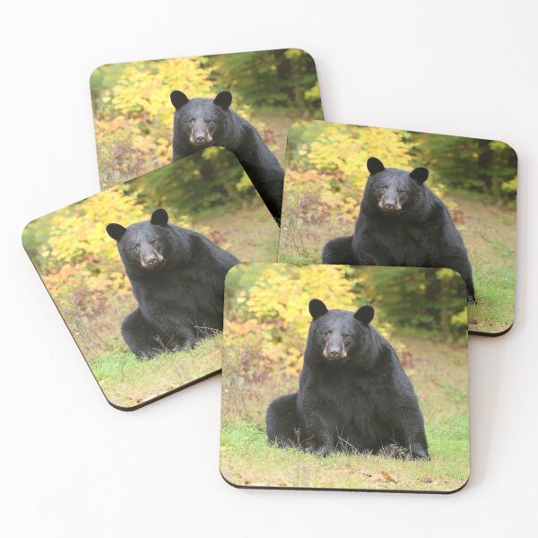 Item preview, Autumn Black Bear designed and sold by mlorenz.