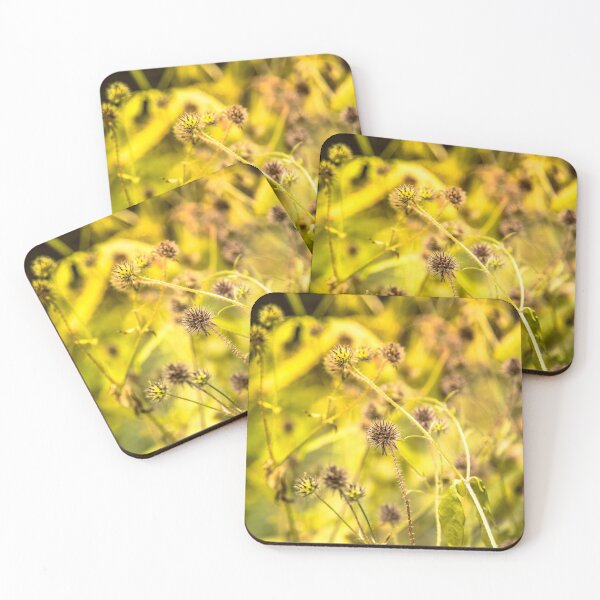Item preview, Dried plant and bright nature designed and sold by Stéphane  Thirion.