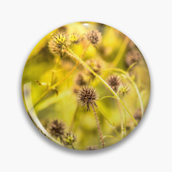 Item preview, Dried plant and bright nature designed and sold by Stéphane  Thirion.
