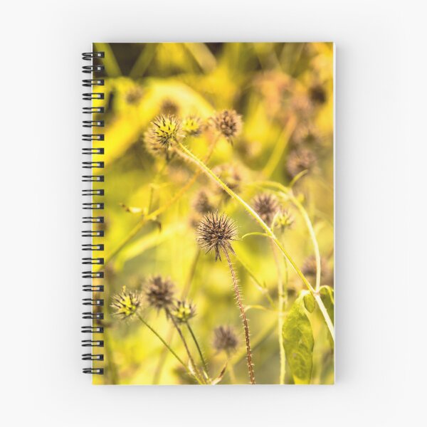 Item preview, Dried plant and bright nature designed and sold by Stéphane  Thirion.