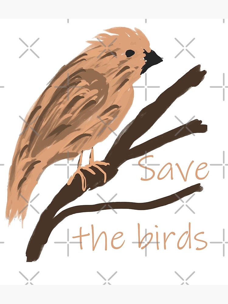 How to Draw Save Sparrows Save Nature Drawing - YouTube