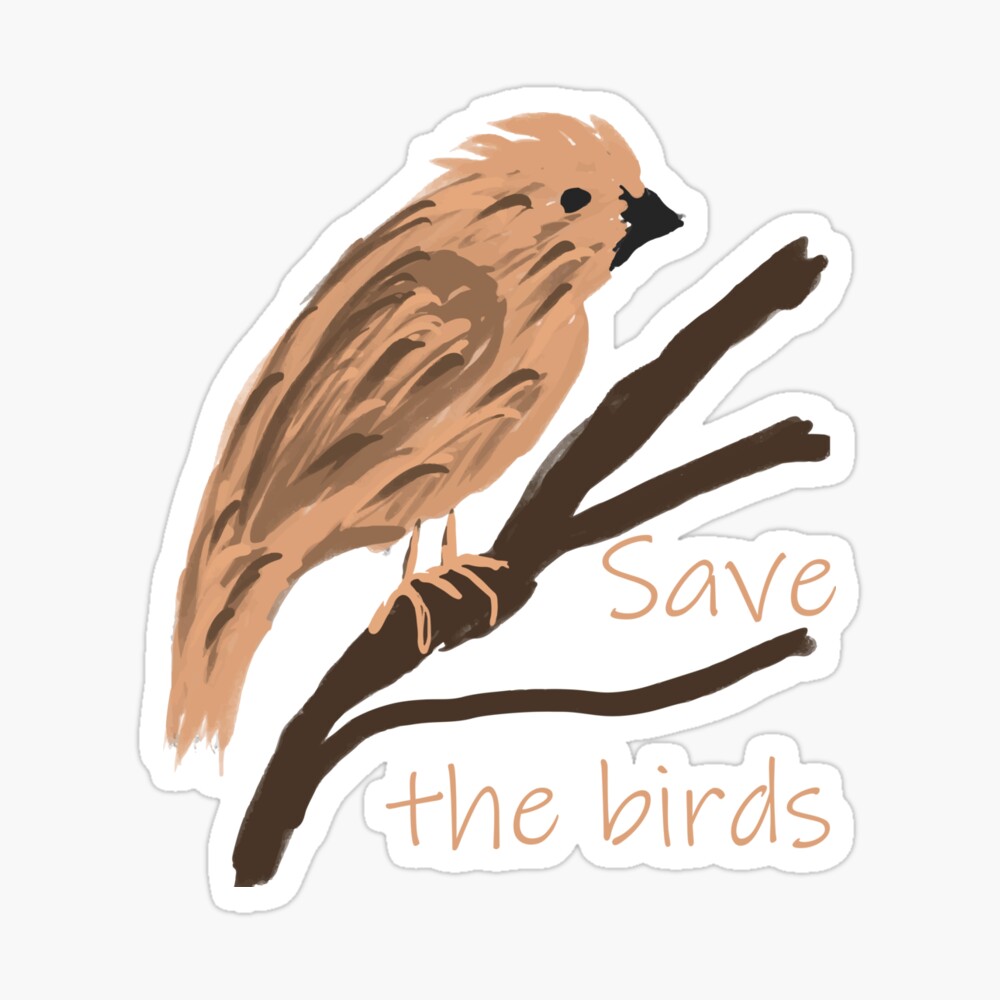 Save the SPARROWS don't let them fade out” World Sparrow Day - III & IV  #ProtectSparrows #SparrowAwareness #SparrowLove #BringBac... | Instagram