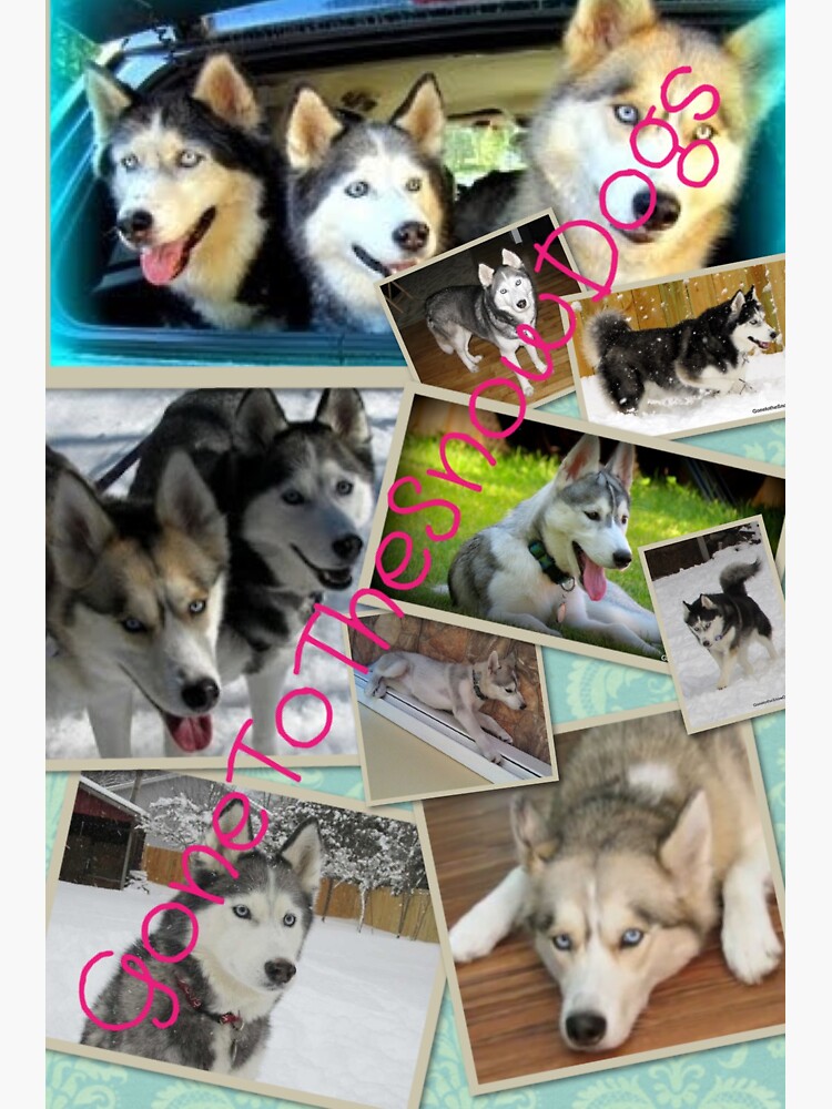 Gone To The Snow Dogs