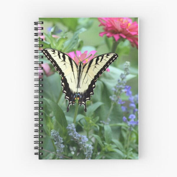 Artikelvorschau,  2012-311 Ansichten.
! http: //images-1.redbubble.net/img/art/backingcolor: schwarz / Produkt: Grußkarte / Ansicht: Vorschau / 3075502-2-Tiger-Schwalbenschwanz-ii.jpg! entworfen und verkauft von Julie's Camera Creations <><.