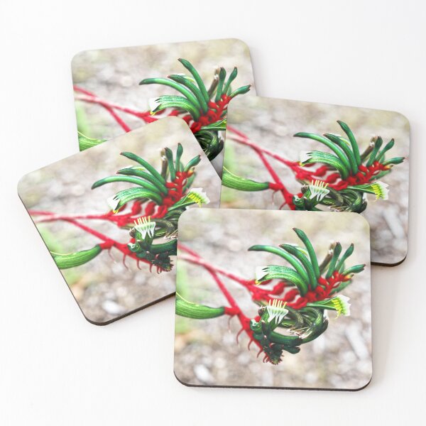 Item preview, Kangaroo Paw designed and sold by evolutionx.