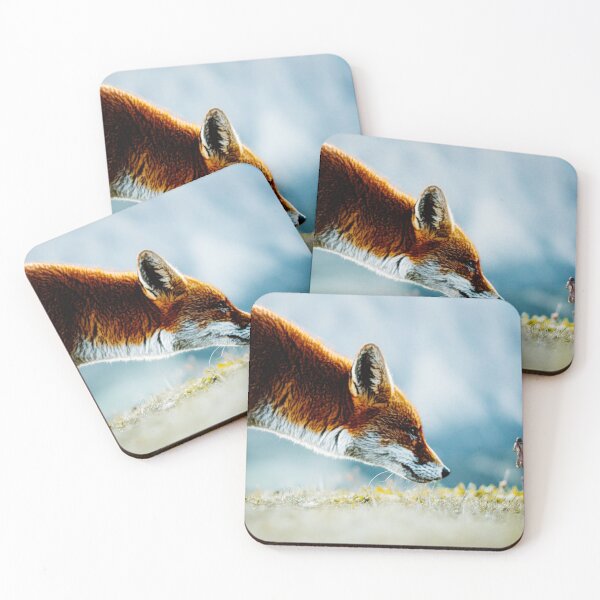 Item preview, Close Encounters of a Fox Kind designed and sold by Marlene Watson-Hall.