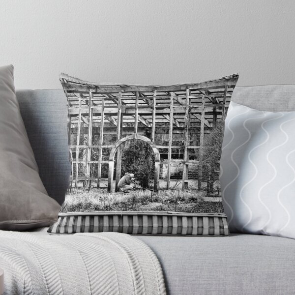 Throw Pillow