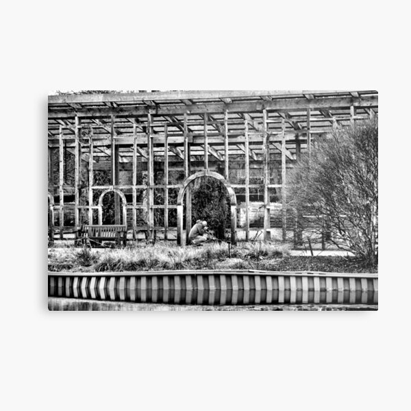 Metal Print