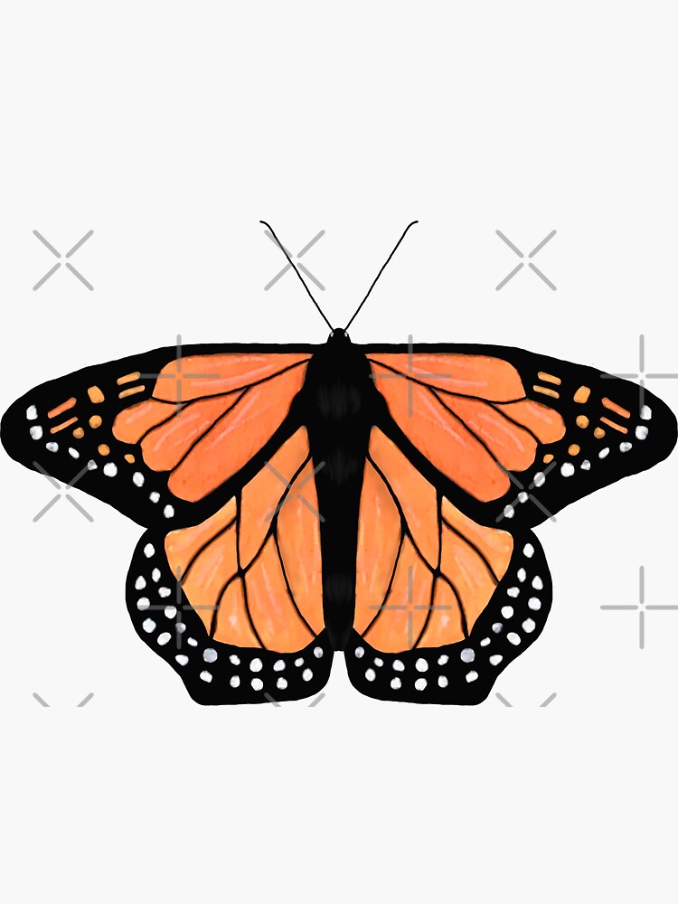 Monarch Butterfly Sticker By Rachelcf Redbubble 