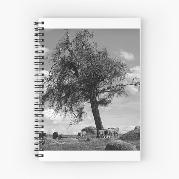 Item preview, Dog Rocks, Batesford, monochrome designed and sold by Roz McQuillan Fine Art & Photography.