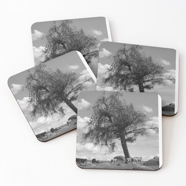Item preview, Dog Rocks, Batesford, monochrome designed and sold by Roz McQuillan Fine Art & Photography.
