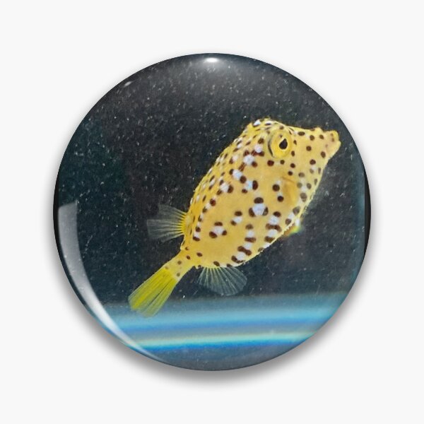 Item preview, Spotted Boxfish 1 designed and sold by Taranodongirl7.