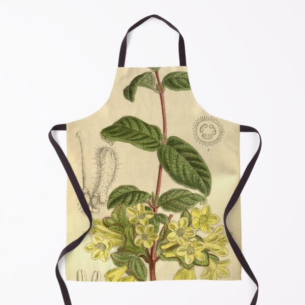 Item preview, Lonicera chaetocarpa 145 8804 designed and sold by EsotericBotanic.