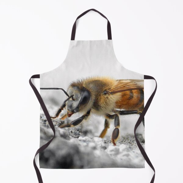 Item preview, ©NS Morning Bee IA. designed and sold by OmarHernandez.