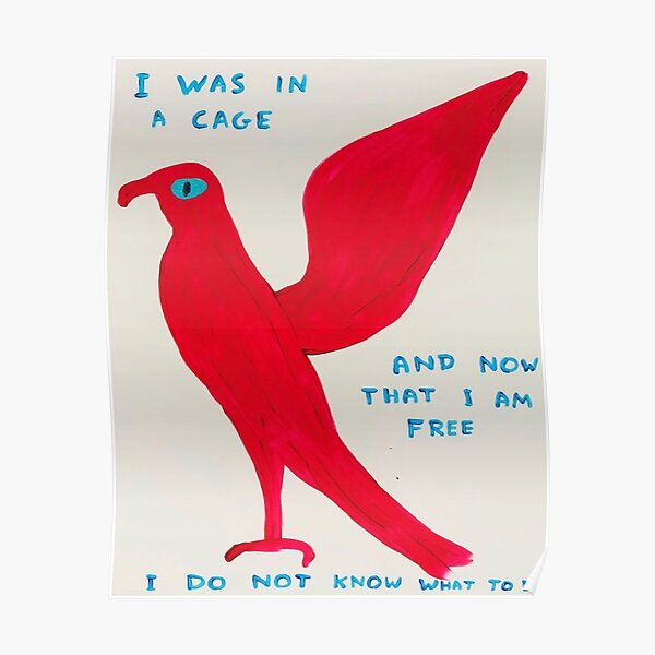 red bird art Poster