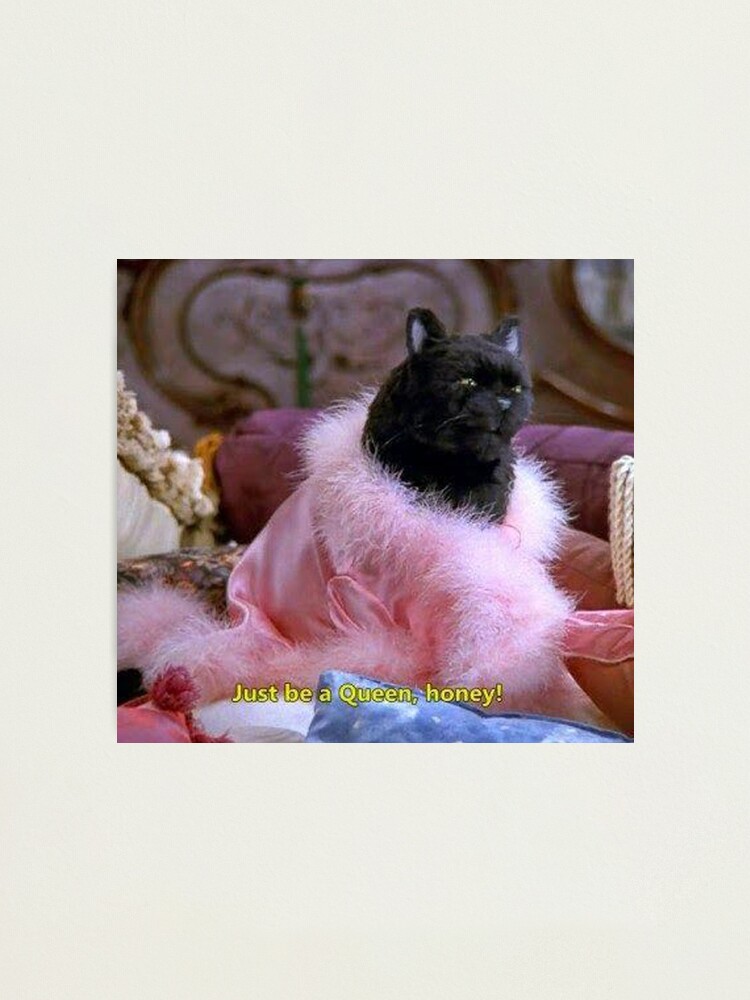 Impression Photo Salem Le Chat Par Ematzzz Redbubble Impression Photo Salem Le Chat Par Ematzzz Redbubble