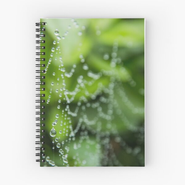 Item preview, Telaraña de gotas de rocío designed and sold by Mind2Line.