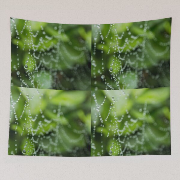 Item preview, Spiderweb of dew Drops designed and sold by Mind2Line.