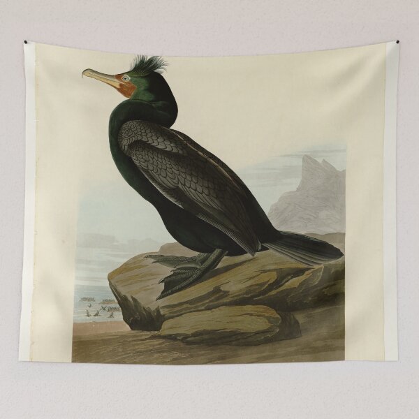 Item preview, 257 Double crested Cormorant designed and sold by Bird-Lore.