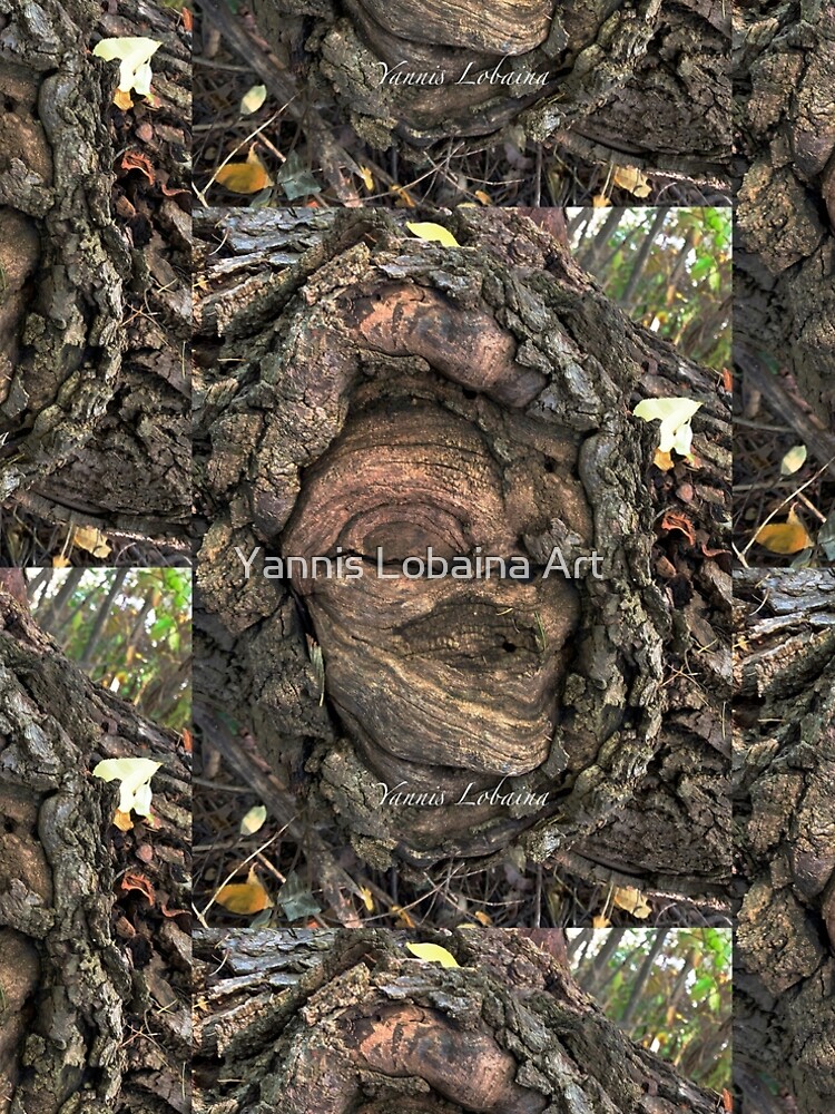 Female spirit an oak By Yannis Lobaina by lobaina1979
