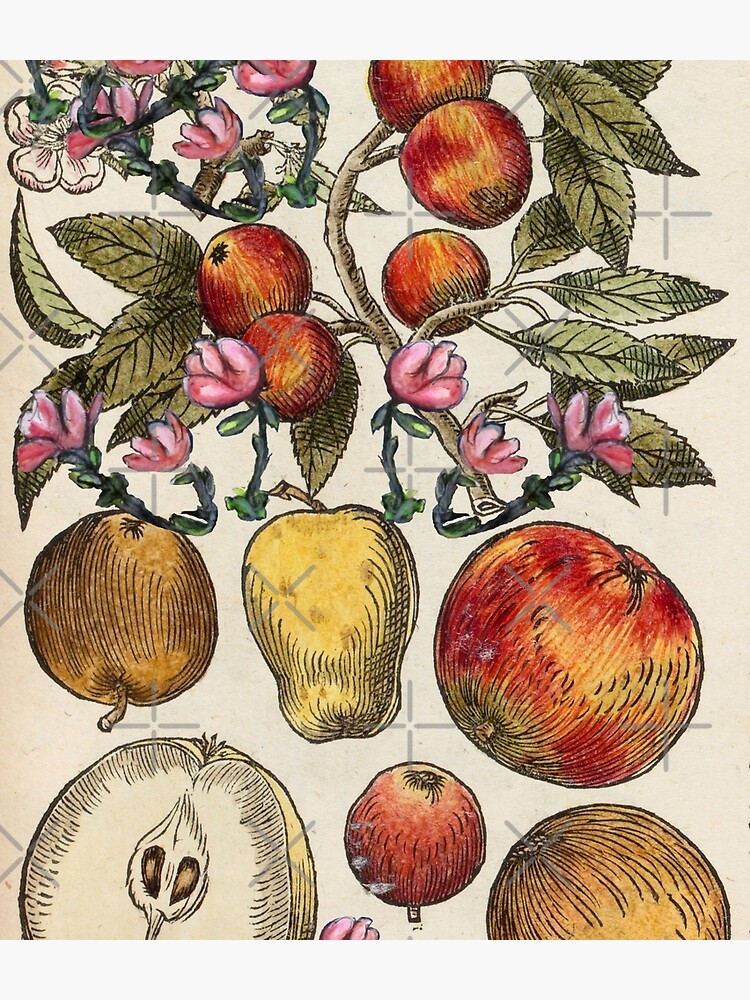 Crazy Fruit And Blooms by cjkell