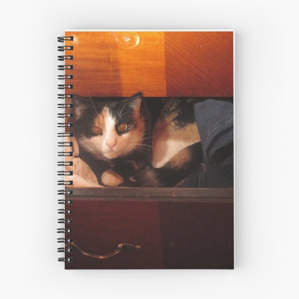 Item preview, Cute Cat in a drawer designed and sold by Raina Shea.
