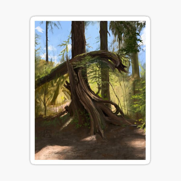Olympic National Park Forest Sticker
