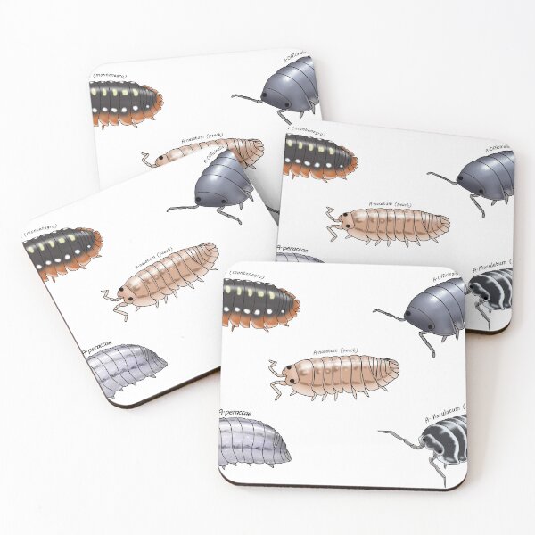 Item preview, Isopod sticker pack 1 designed and sold by Binkykun.