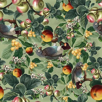 Artwork thumbnail, Botanical garden by Rococodesigns