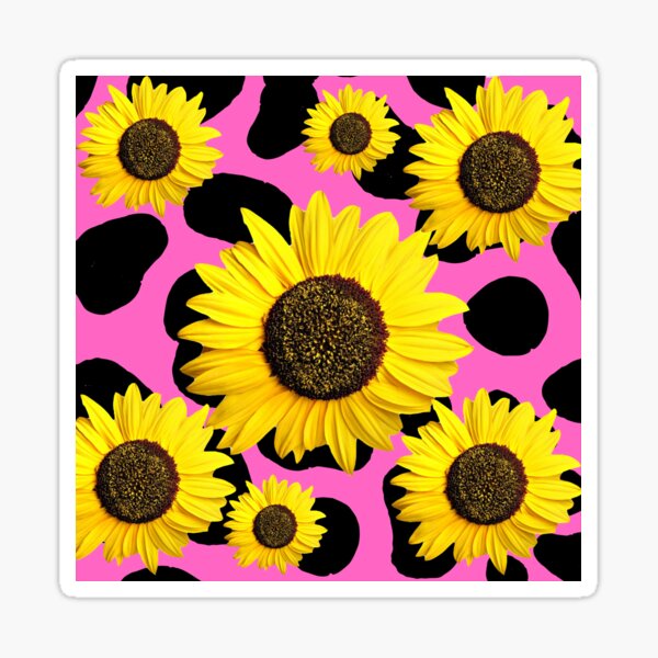 Cow Pattern With Cute Sunflower Stickers for Sale Redbubble photo picture