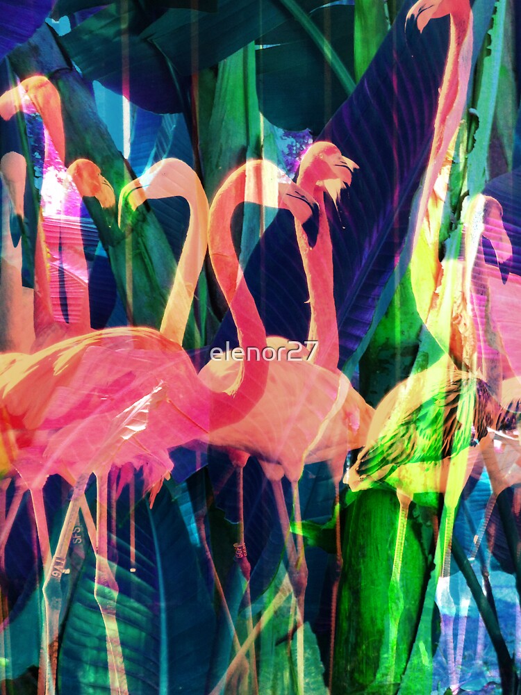 Flamingo Dance by elenor27