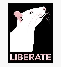 Liberate (Rat) Photographic Print