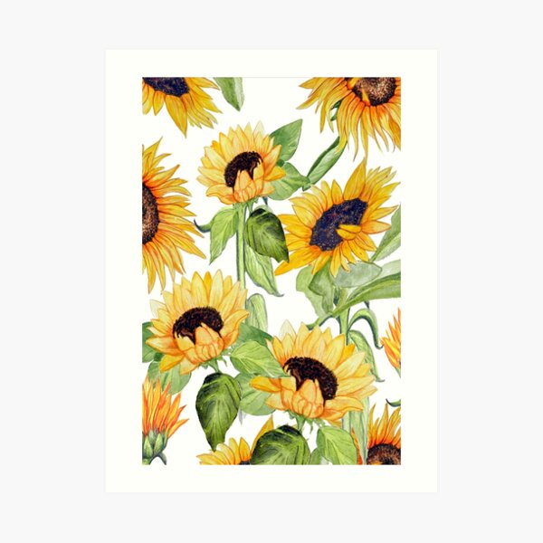 sunflower art , watercolor Art Print