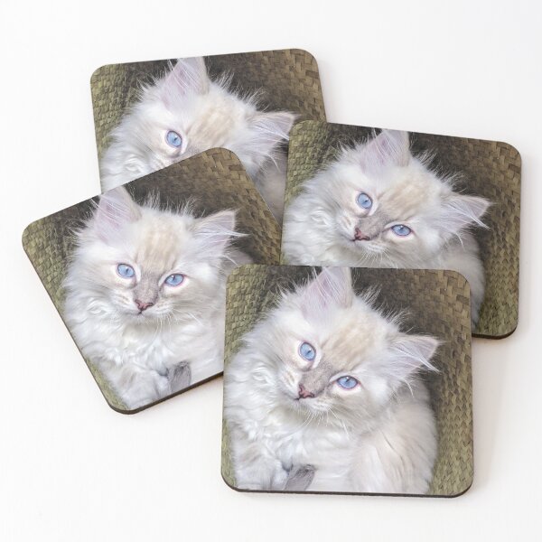 Item preview, Ragdoll kitten designed and sold by Fluffycat2020.