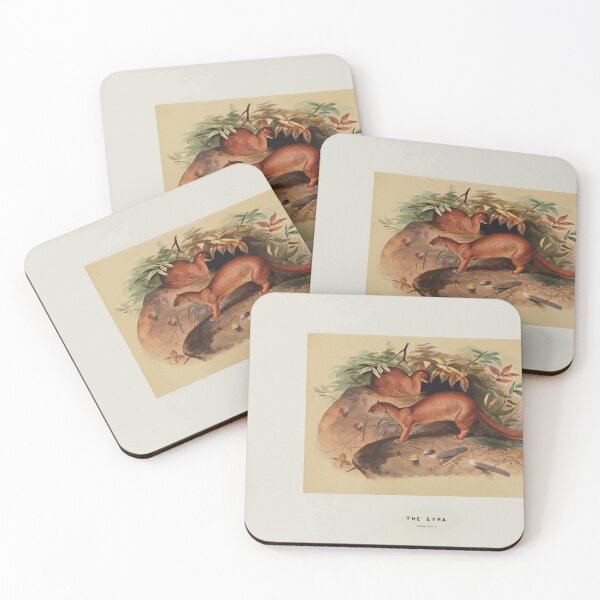 Item preview, Zoological sketches by Joseph Wolf 1861 to 1867 006 The Eyra designed and sold by WetdryvacRB01.